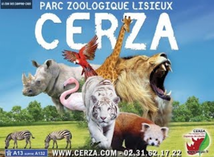 image stylé zoo cerza