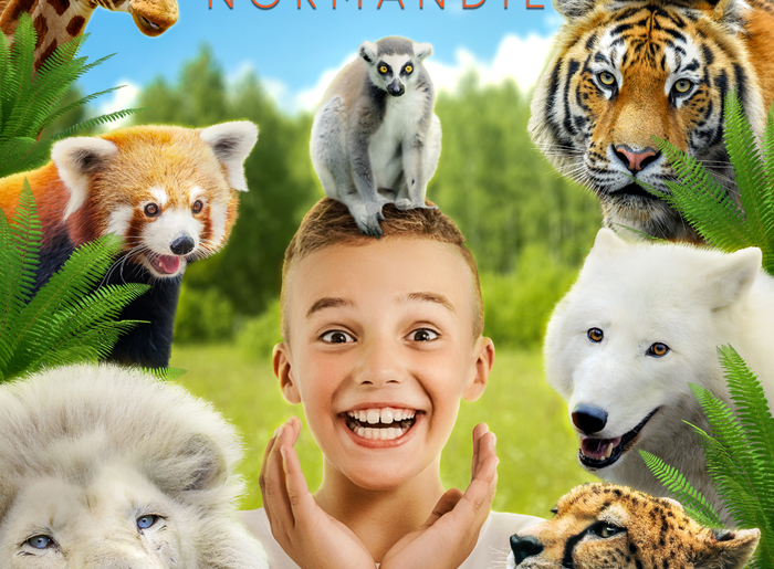 ZOODEJURQUES2022-1200x1560-1