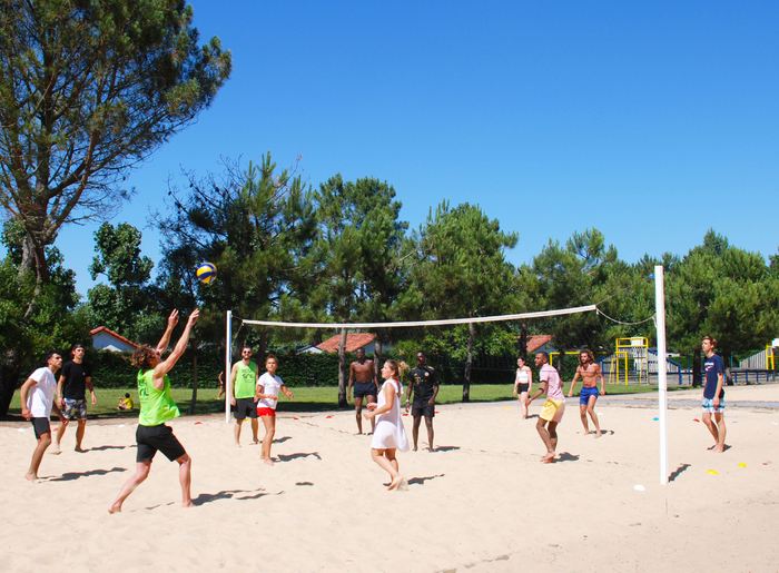 terraiin-sport (1)_2